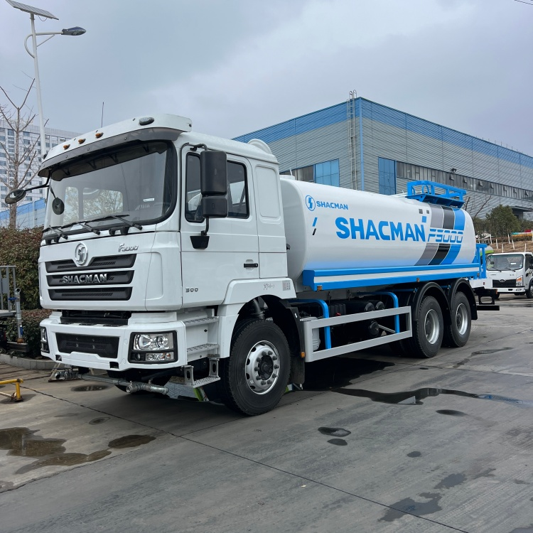 Shaanxi Automobile F3000 rear double-axle 6*4 water tanker 